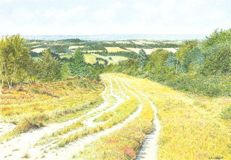 Ashdown Forest