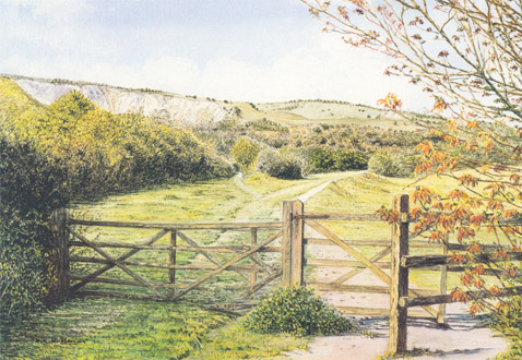 Downland Track