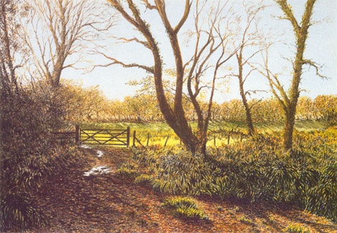 The Gate