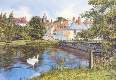 The Village Pond